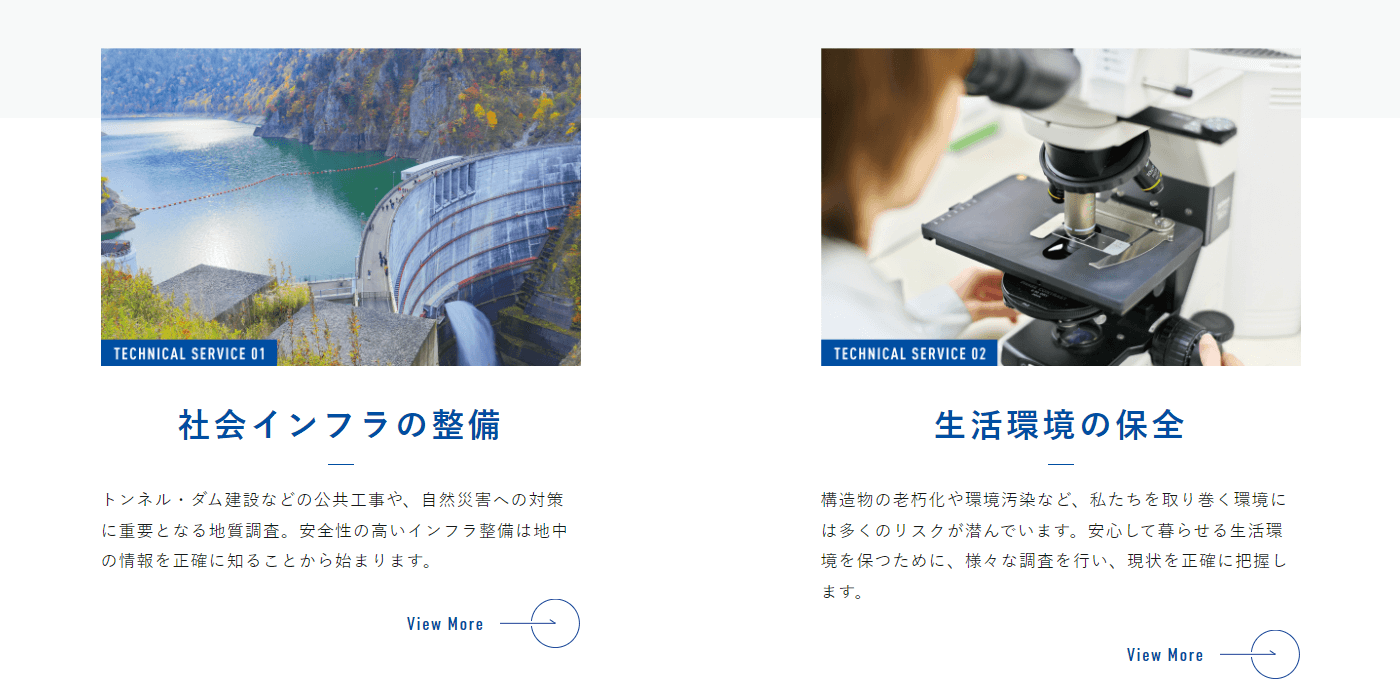 レアックスの画像